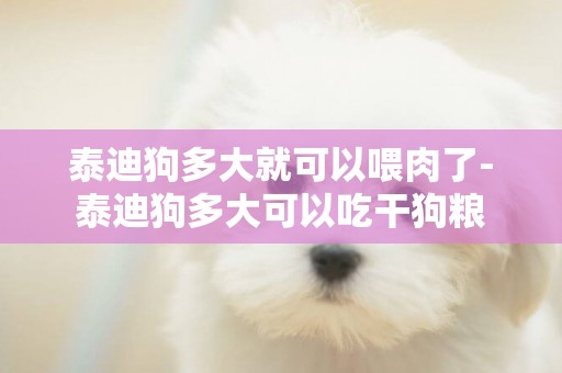 泰迪狗多大就可以喂肉了-泰迪狗多大可以吃干狗糧