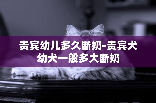貴賓幼兒多久斷奶-貴賓犬幼犬一般多大斷奶