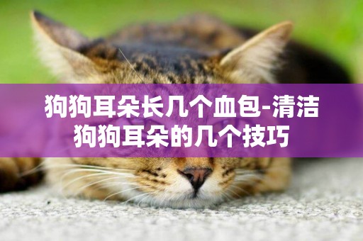 狗狗耳朵長幾個血包-清潔狗狗耳朵的幾個技巧