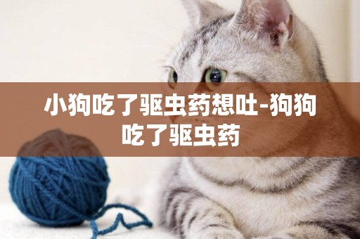 小狗吃了驅蟲藥想吐-狗狗吃了驅蟲藥