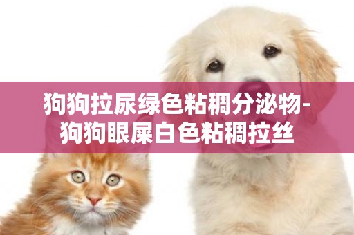 狗狗拉尿綠色粘稠分泌物-狗狗眼屎白色粘稠拉絲