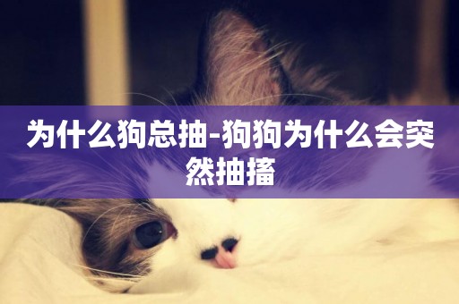 為什么狗總抽-狗狗為什么會突然抽搐