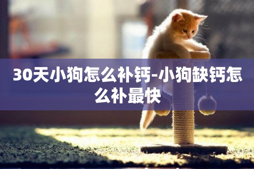 30天小狗怎么補鈣-小狗缺鈣怎么補最快