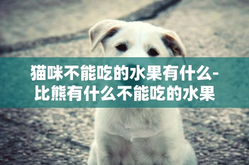 貓咪不能吃的水果有什么-比熊有什么不能吃的水果