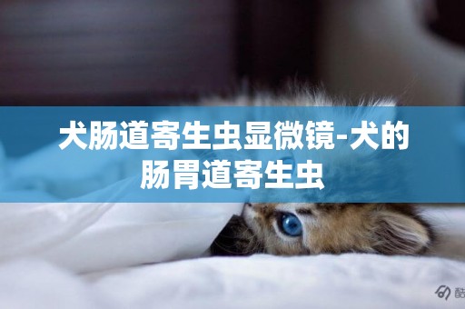 犬腸道寄生蟲顯微鏡-犬的腸胃道寄生蟲