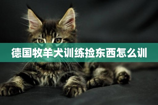 德國牧羊犬訓練撿東西怎么訓