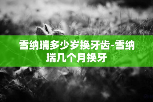 雪納瑞多少歲換牙齒-雪納瑞幾個月換牙