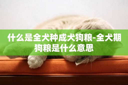 什么是全犬種成犬狗糧-全犬期狗糧是什么意思