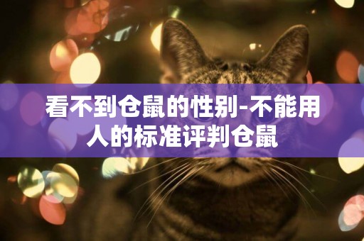 看不到倉鼠的性別-不能用人的標準評判倉鼠
