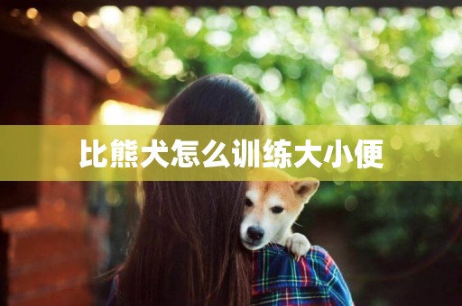 比熊犬怎么訓練大小便