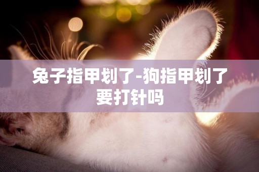 兔子指甲劃了-狗指甲劃了要打針嗎