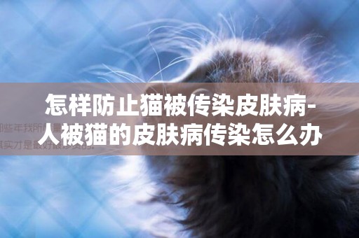 怎樣防止貓被傳染皮膚病-人被貓的皮膚病傳染怎么辦