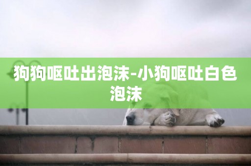 狗狗嘔吐出泡沫-小狗嘔吐白色泡沫