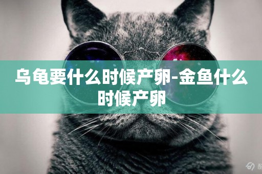 烏龜要什么時候產卵-金魚什么時候產卵