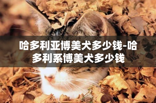 哈多利亞博美犬多少錢-哈多利系博美犬多少錢
