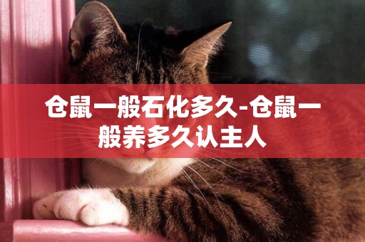 倉鼠一般石化多久-倉鼠一般養多久認主人