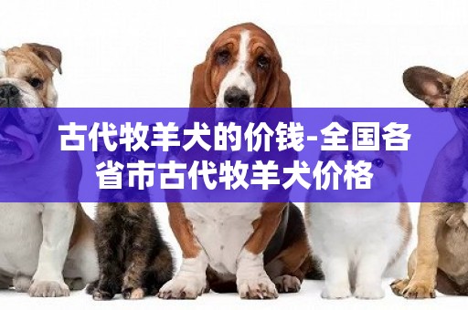 古代牧羊犬的價錢-全國各省市古代牧羊犬價格