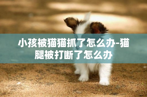 小孩被貓貓抓了怎么辦-貓腿被打斷了怎么辦