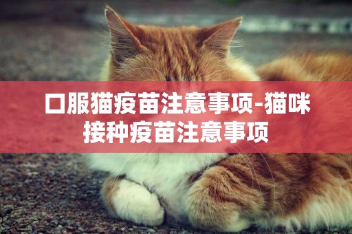 口服貓疫苗注意事項-貓咪接種疫苗注意事項