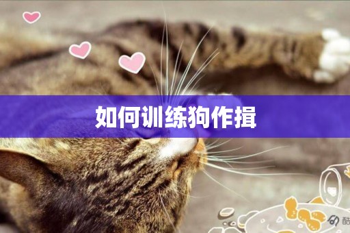 如何訓練狗作揖