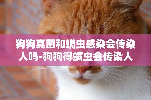 狗狗真菌和螨蟲感染會傳染人嗎-狗狗得螨蟲會傳染人嗎