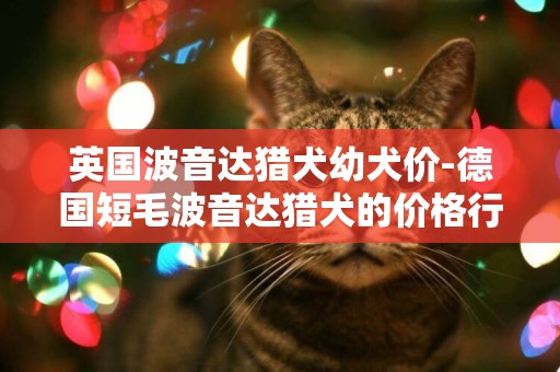 英國波音達獵犬幼犬價-德國短毛波音達獵犬的價格行情