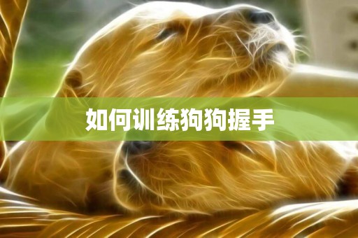 如何訓練狗狗握手