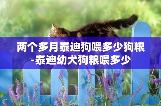 兩個多月泰迪狗喂多少狗糧-泰迪幼犬狗糧喂多少