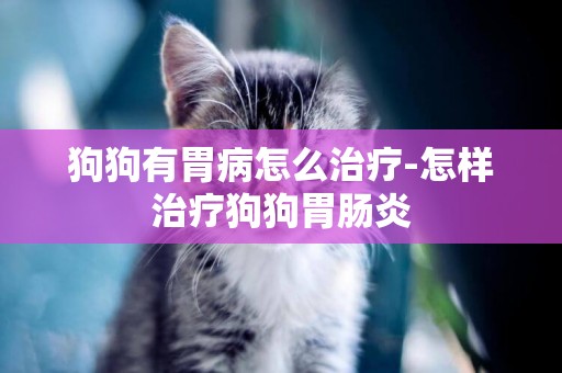 狗狗有胃病怎么治療-怎樣治療狗狗胃腸炎