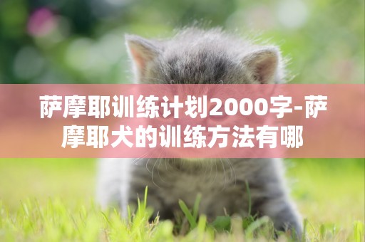薩摩耶訓練計劃2000字-薩摩耶犬的訓練方法有哪