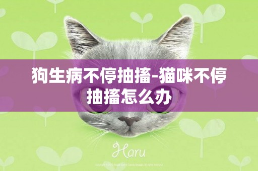 狗生病不停抽搐-貓咪不停抽搐怎么辦