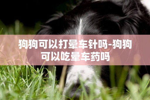 狗狗可以打暈車針嗎-狗狗可以吃暈車藥嗎