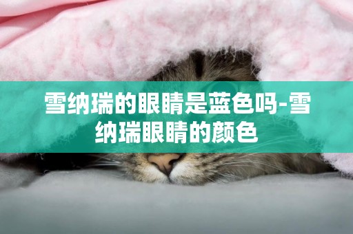 雪納瑞的眼睛是藍色嗎-雪納瑞眼睛的顏色
