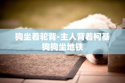 狗坐著駝背-主人背著柯基狗狗坐地鐵