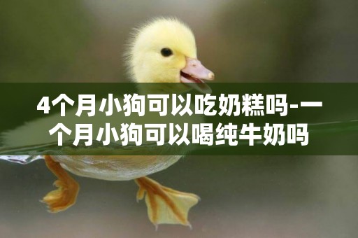 4個月小狗可以吃奶糕嗎-一個月小狗可以喝純牛奶嗎