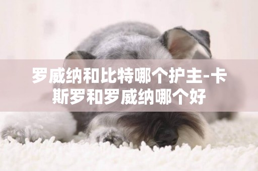 羅威納和比特哪個護主-卡斯羅和羅威納哪個好