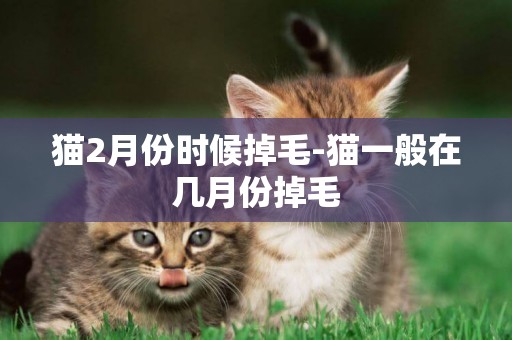 貓2月份時候掉毛-貓一般在幾月份掉毛