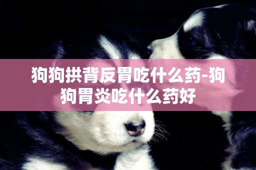狗狗拱背反胃吃什么藥-狗狗胃炎吃什么藥好
