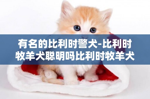有名的比利時警犬-比利時牧羊犬聰明嗎比利時牧羊犬智商排名