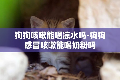 狗狗咳嗽能喝涼水嗎-狗狗感冒咳嗽能喝奶粉嗎