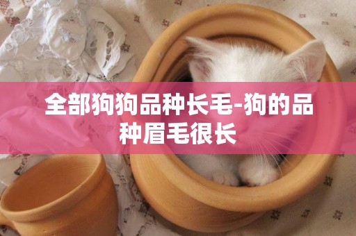 全部狗狗品種長毛-狗的品種眉毛很長