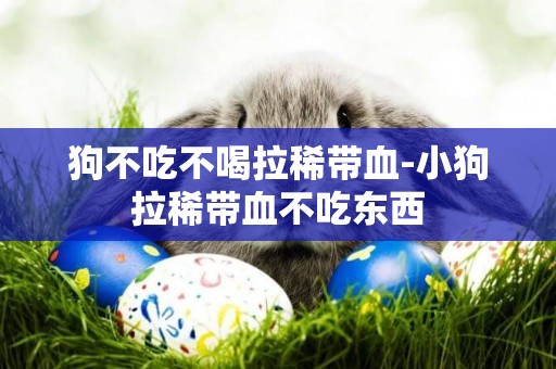 狗不吃不喝拉稀帶血-小狗拉稀帶血不吃東西