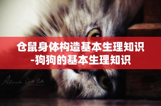 倉鼠身體構造基本生理知識-狗狗的基本生理知識