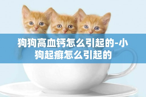 狗狗高血鈣怎么引起的-小狗起癬怎么引起的
