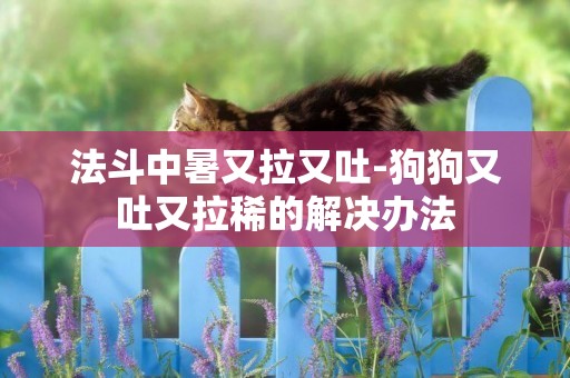 法斗中暑又拉又吐-狗狗又吐又拉稀的解決辦法
