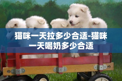 貓咪一天拉多少合適-貓咪一天喝奶多少合適