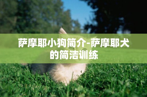 薩摩耶小狗簡介-薩摩耶犬的簡潔訓練
