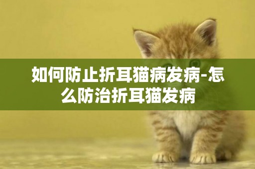 如何防止折耳貓病發病-怎么防治折耳貓發病