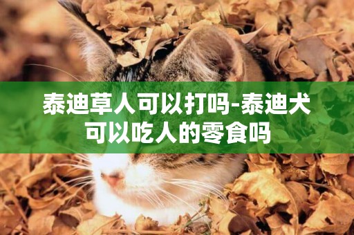 泰迪草人可以打嗎-泰迪犬可以吃人的零食嗎