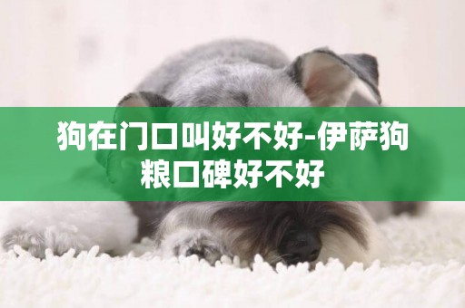 狗在門口叫好不好-伊薩狗糧口碑好不好